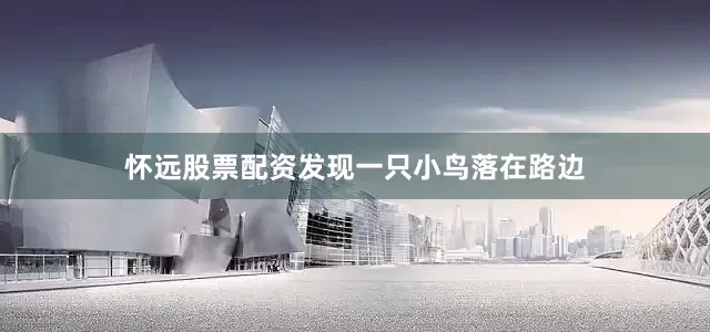 怀远股票配资发现一只小鸟落在路边